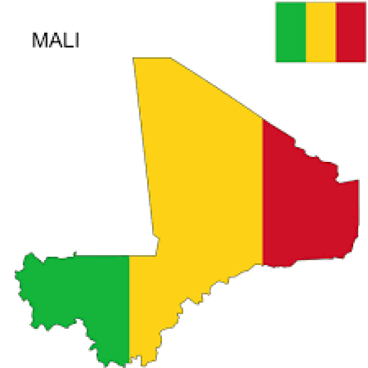 Association action for sanitation and the fight against insalubrity and pollution in Mali (ASALIP-MALI)
